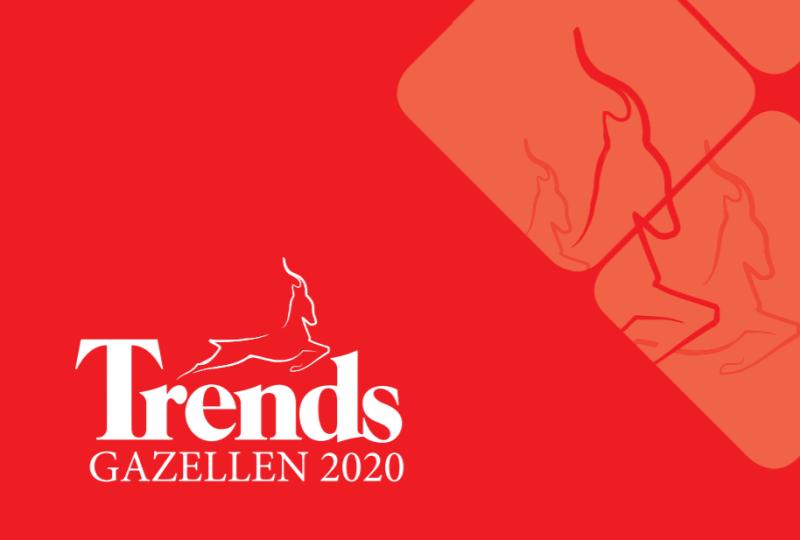 ALTEN Trend Gazelles